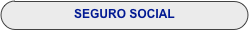 SEGURO SOCIAL